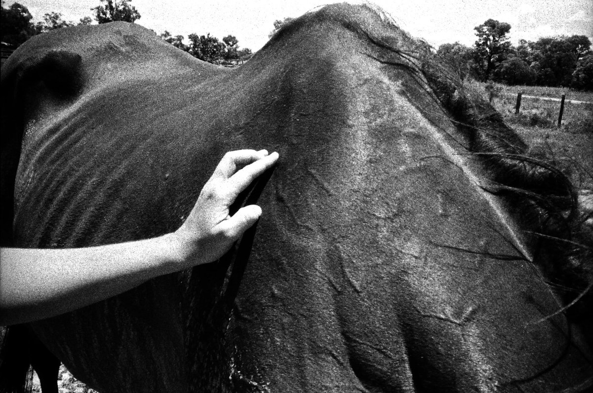 Chart Collective tweet media