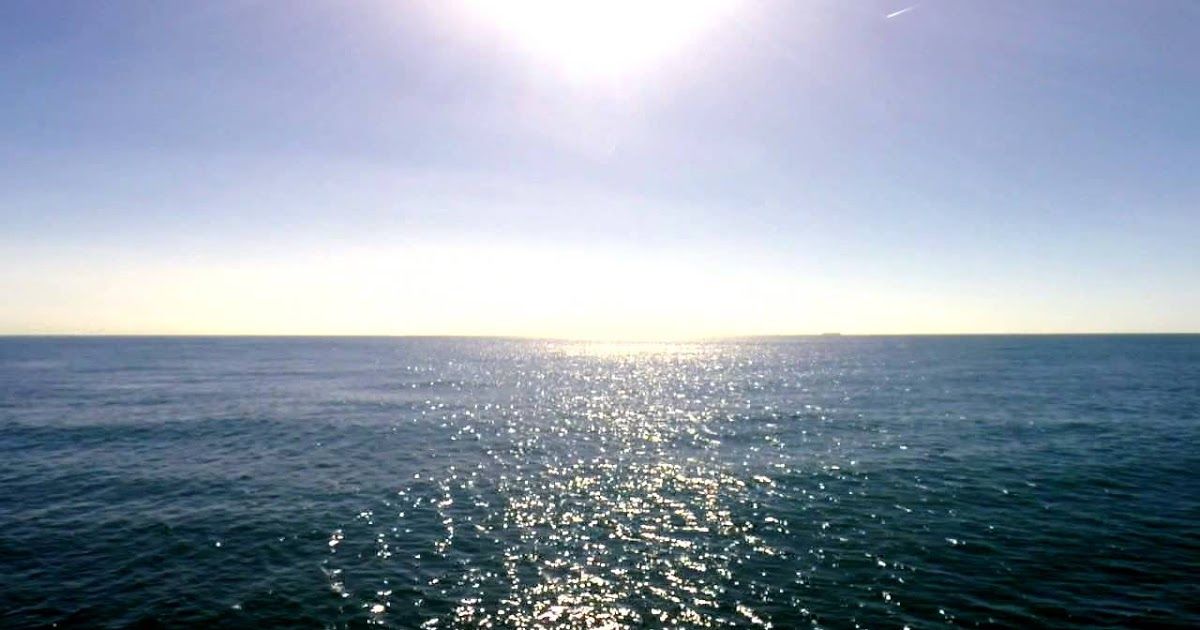 Anne Slease tweet media