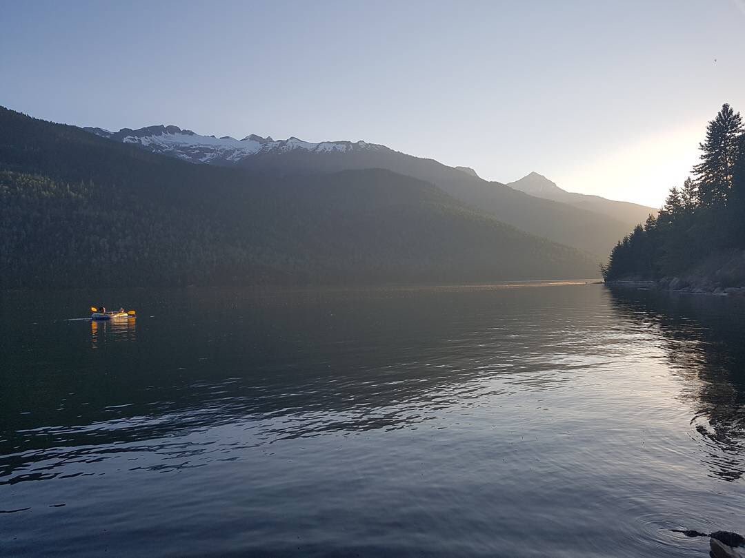 Revelstoke tweet media