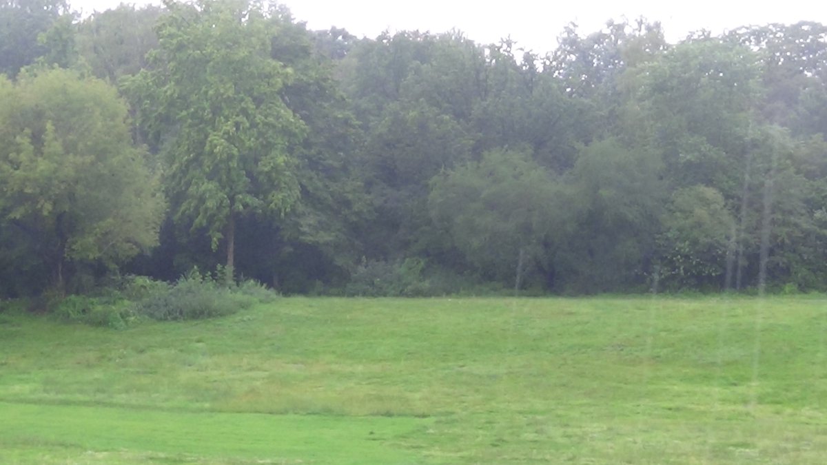 #Hasenheide im Regen <a href="/hasenhde/">Hasenheide</a> <a href="/rogerwilc00/">Roger 'Gömböc' Wilco</a> @amigaberlin <a href="/bahajos/">Barbara Hajos</a>
<a href="/tWitpHey/">mr. pHey</a> @Volker_Berg <a href="/ulisses_berlin/">Ulisses ☮</a>