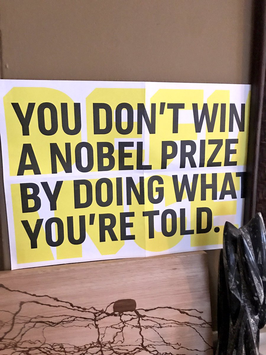 amyneurons's tweet photo. Finally found a spot to stash @medialab #DefianceML poster, flanked by 2017 laser etched neuron and 50 million year old fossil. https://t.co/7xpzJiu0jc
