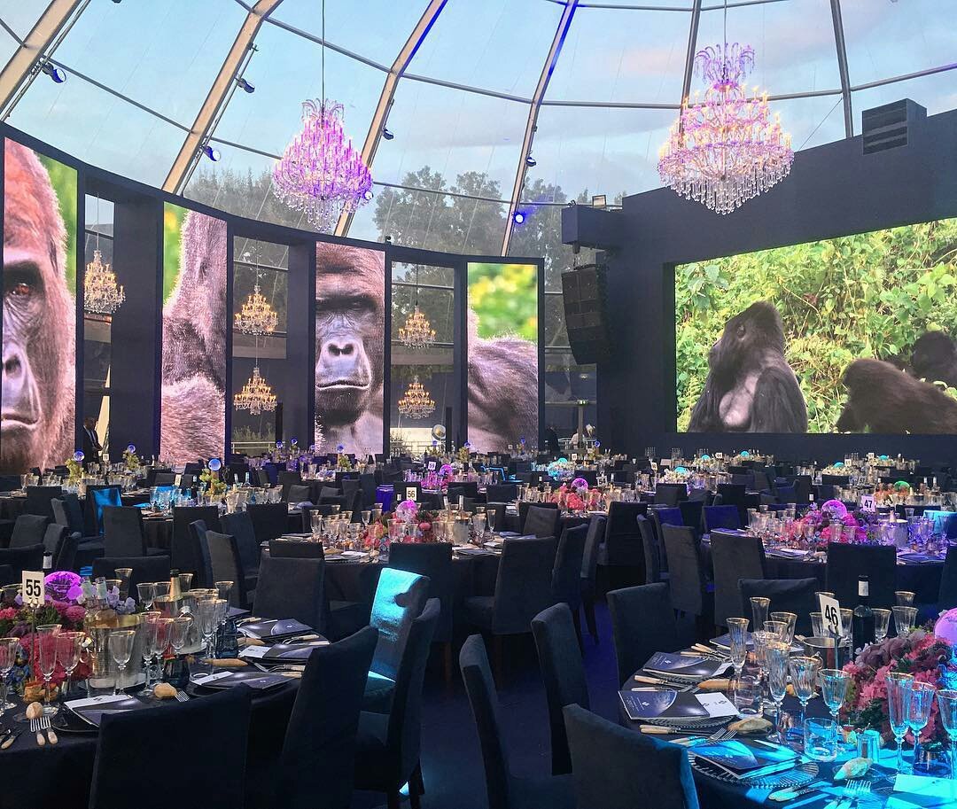 mtribefrance's tweet photo. Là où tous les fans de Madonna voudraient être ce soir #LDF #Gala https://t.co/6mqYIj2yf5