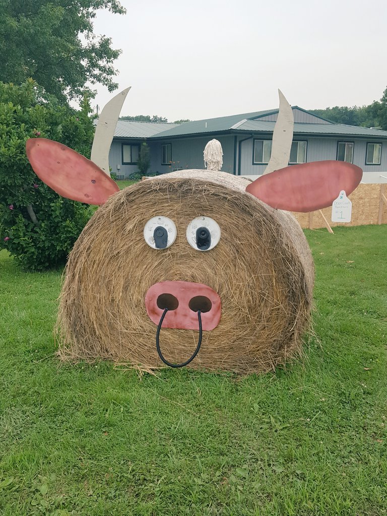 Cys_RD's tweet photo. Decorated bales (sushi included 🍣) at Johnson Co Fair!🍀The s'mores is my fave as I'm a Graham Champions alum! #4Halum @iowa4h @ISUExtension https://t.co/QZcv8Unlsl