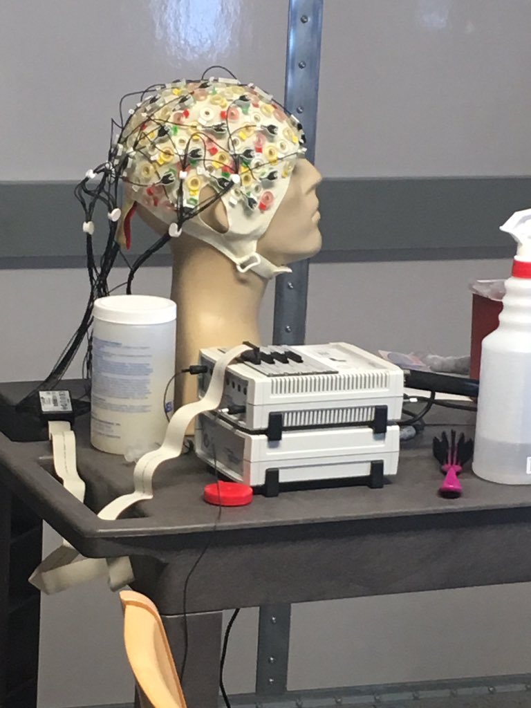 MegVertebrae's tweet photo. I'm so excited to be here! Thank you @TheCTTL and Johns Hopkins University for such an amazing opportunity. #FCPSlearns https://t.co/9XkowYyimi