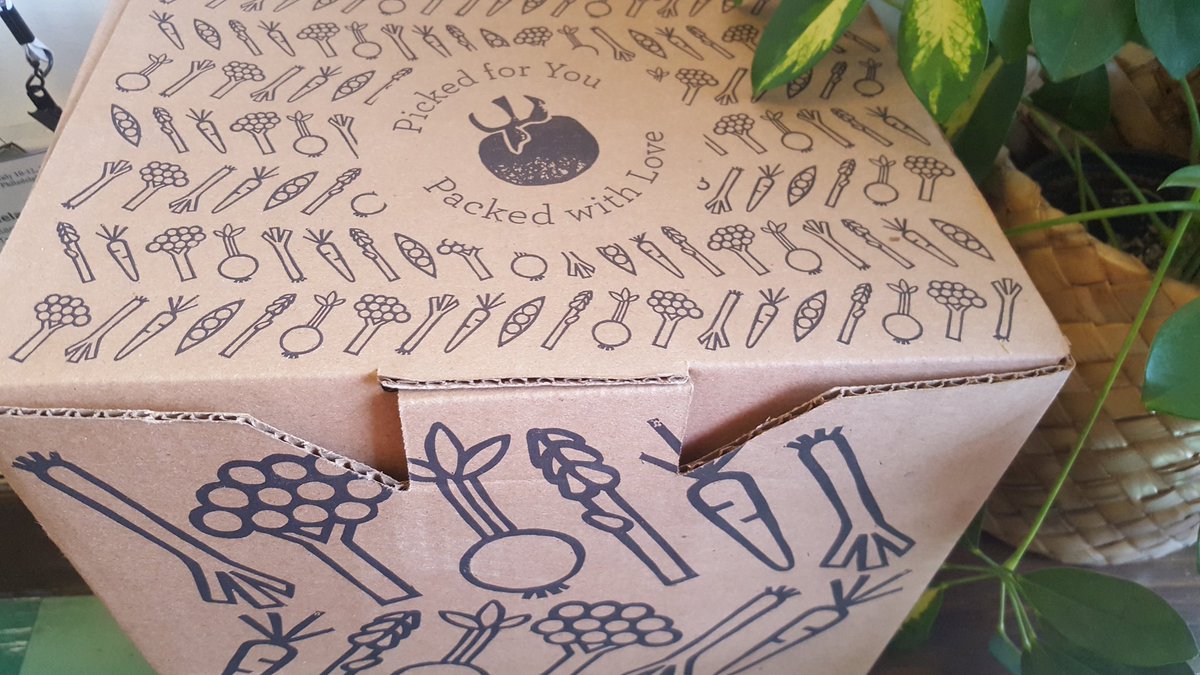 prcotter's tweet photo. Woo-hoo #veggiebox day! @FarmFreshRI https://t.co/x678sSA29I