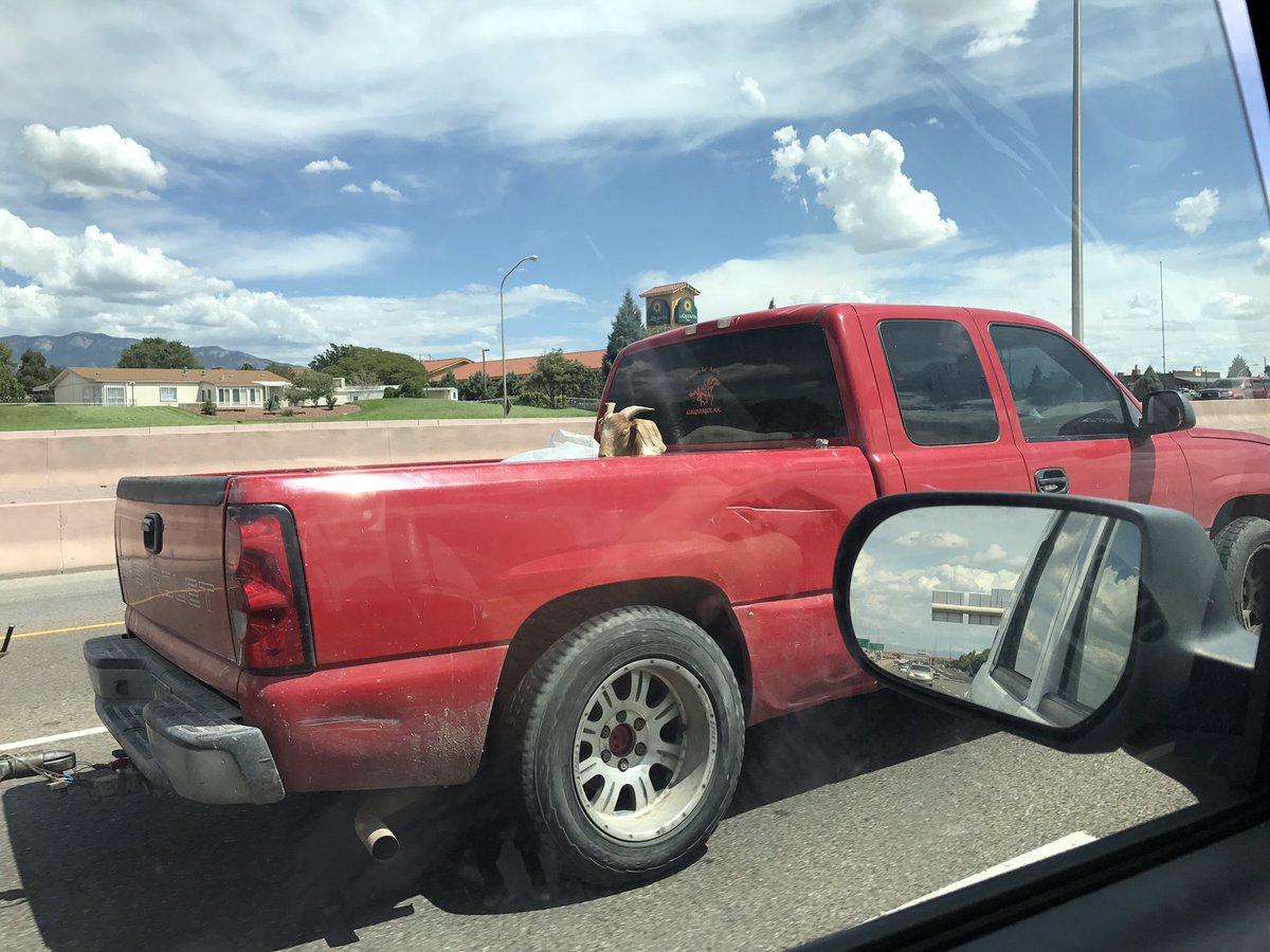 GeoffGrammer's tweet photo. Pretty sure @AdamSandler was driving down I25 through Albuquerque today. #heygoat! #nmtrue https://t.co/8gyaEbJjeI