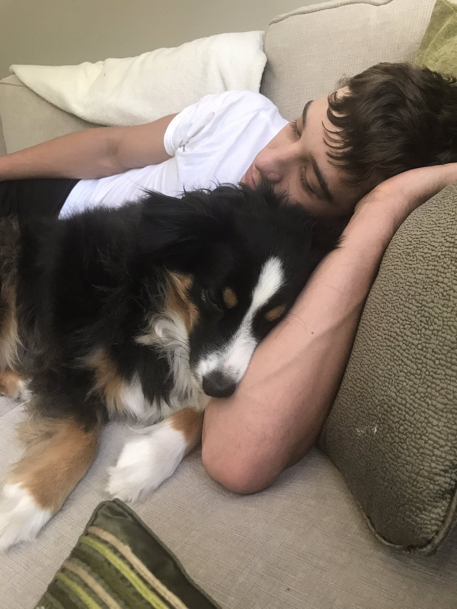 Landonthedog's tweet photo. Lounging around with my wingman @RileyZipfel https://t.co/HPgoV8WAWn