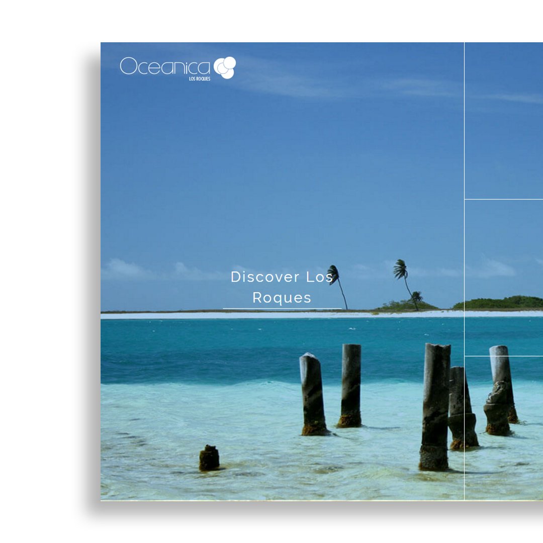 SliceGroupXYZ's tweet photo. El #turismo y la #tecnología se unen otra vez para dar vida a @oceanicalosroques en su sitio #web mira más en nuestro portafolio https://t.co/UPo1GjDolr