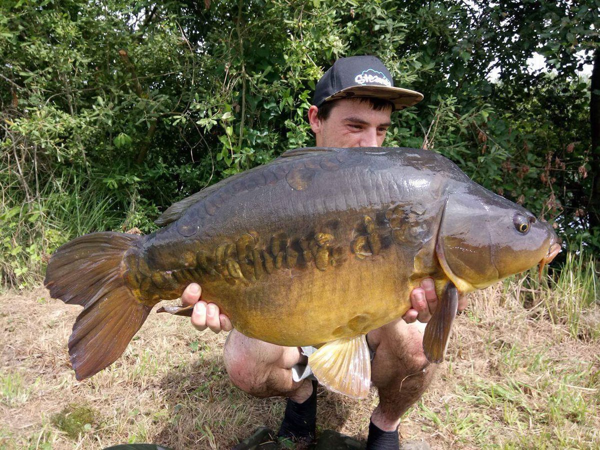 steamiesboilies's tweet photo. 🐟🐟🐟🐟🐟stunner🐟🐟🐟🐟🐟 #SteamedNotBoiled #commonsense https://t.co/Oc8WOUdHA1