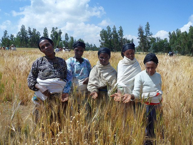 AgriFoodAID tweet media