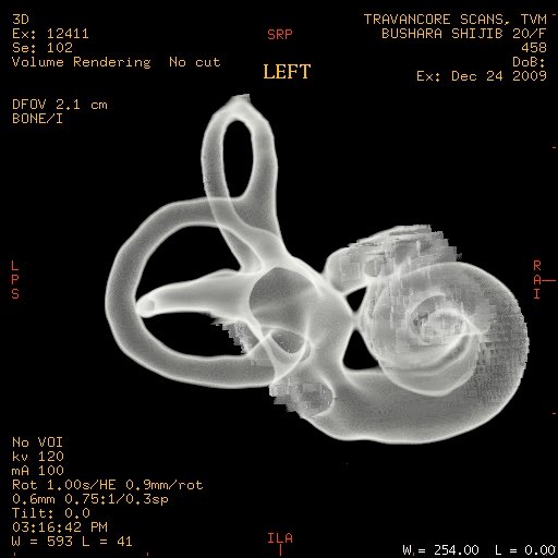 Roulla Katiri tweet media