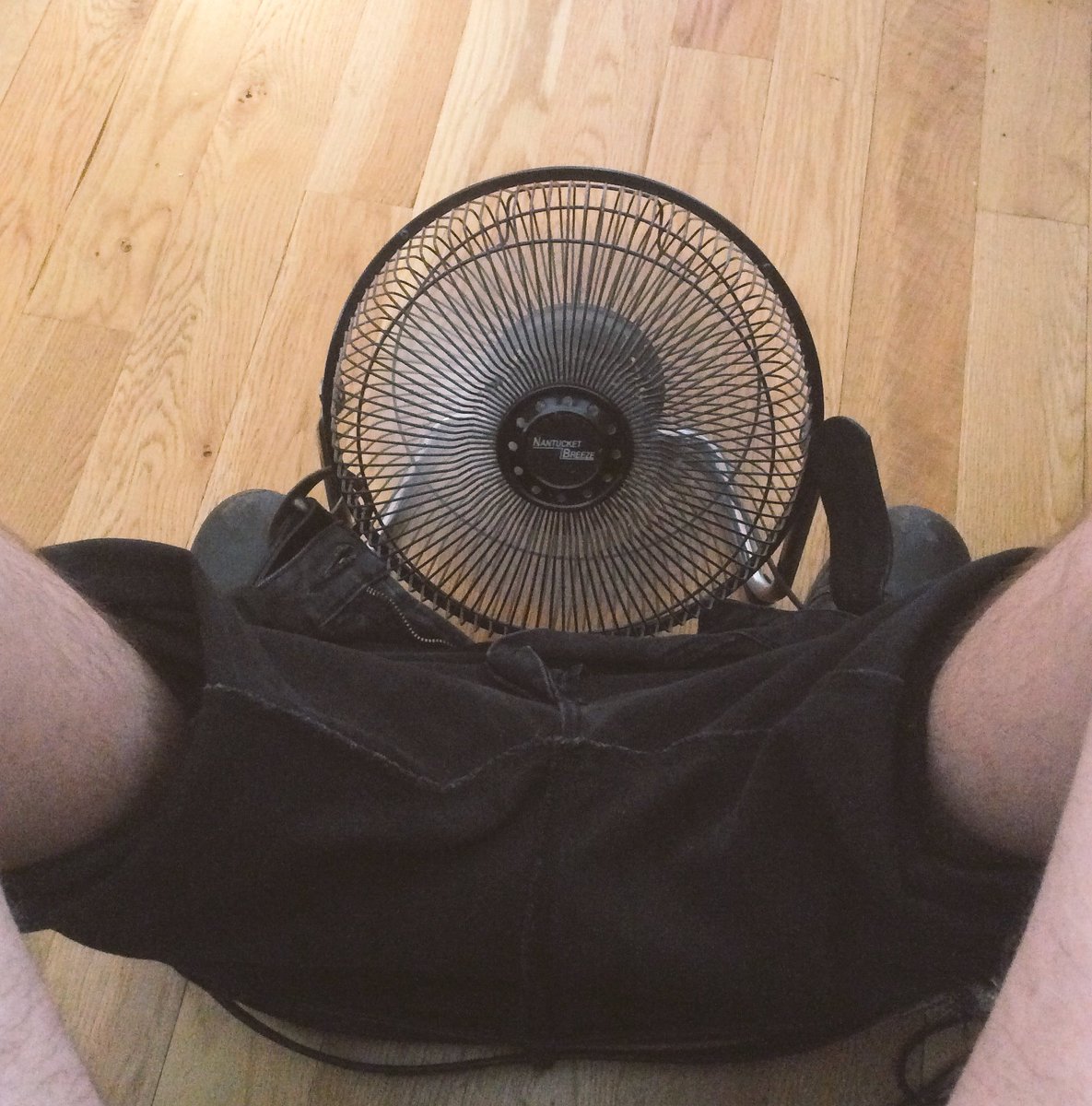 mrjoenasty's tweet photo. I am spending my half hour break between jobs with a fan directly on the boys. #FreshinUp #nantucketbreeze #makesmefeelfine https://t.co/LmelC2K6Ap