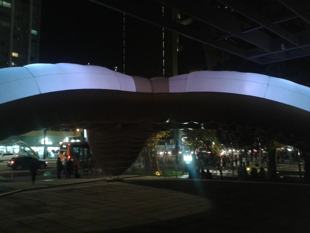 Flávio Schmidt tweet media