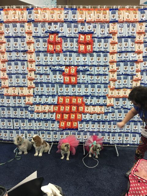 Propel_Com's tweet photo. Thank you @sparklesthediva for stopping by @ivspet #Quickbath #wallofwipes #sz17 @superzootweets #petmedia https://t.co/g5u2acJL9k