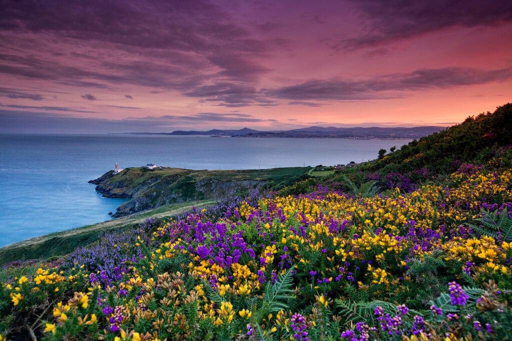 IrlandaEnEsp's tweet photo. ¡Descubre una perspectiva diferente de #Dublín en vuestra próxima visita! Visita la localidad costera de #Howth >> https://t.co/BH27Ml5Igt https://t.co/ng6l9xtyDW