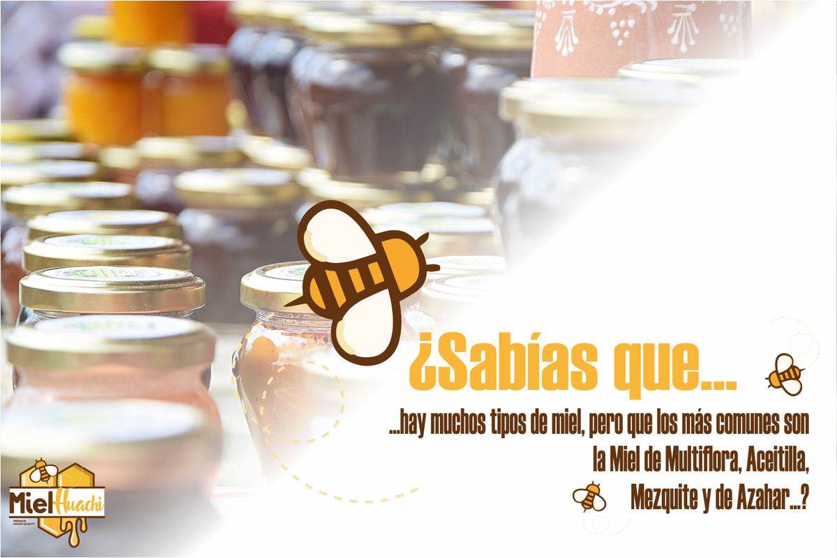 MielHuachiSLP's tweet image. #OasisAltiplanodelaMiel