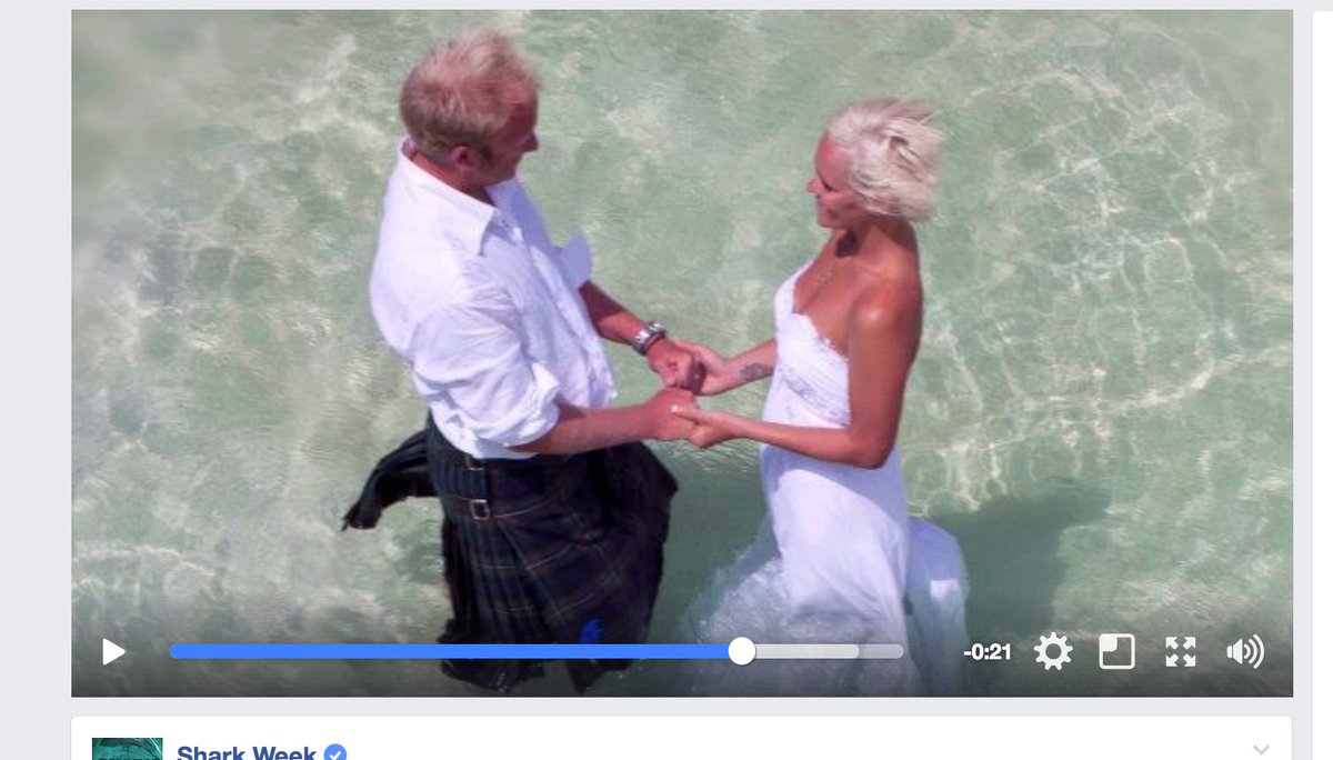 BiminiSharkGirl's tweet image. Our wedding photo made the latest #SharkWeek video... #EveryWeekisSharkWeek in this house!