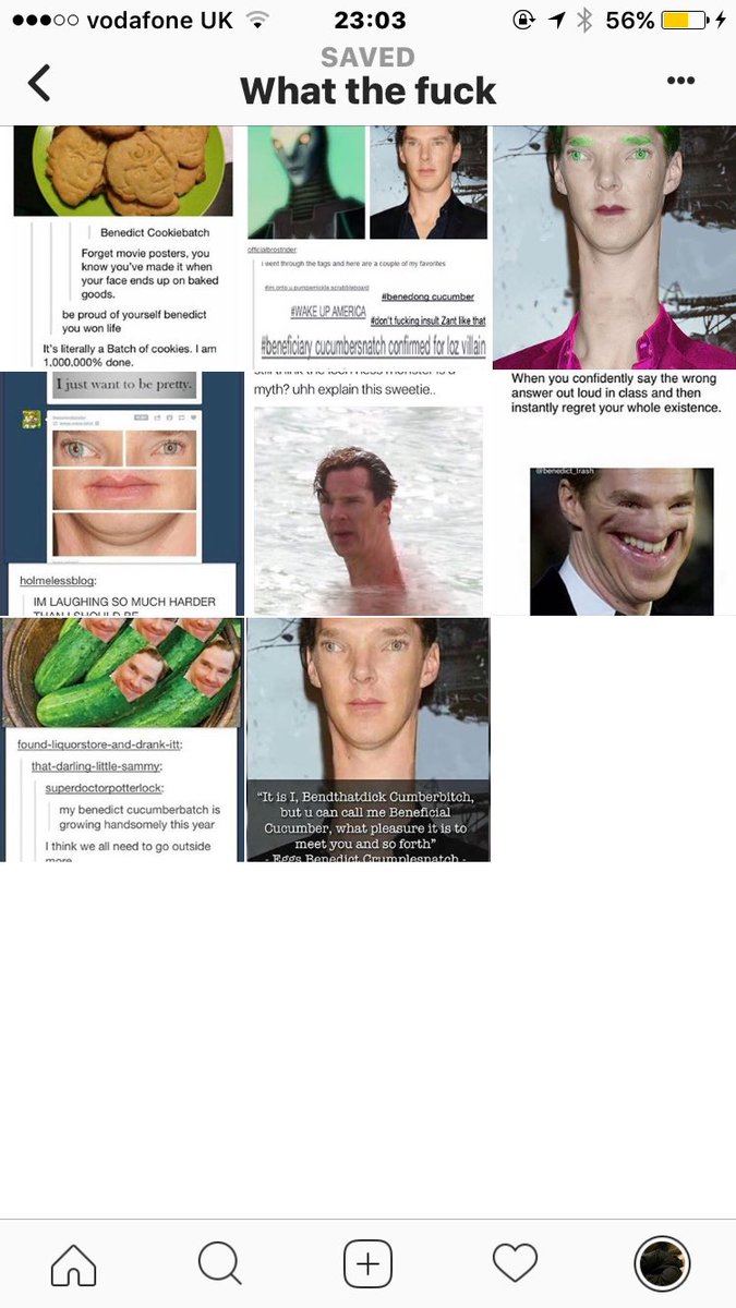isabellamarieex's tweet photo. I have a save folder on IG simply titled 'what the fuck' and it's literally just benedict cumberbatch memes https://t.co/wQ1xXdpm5O