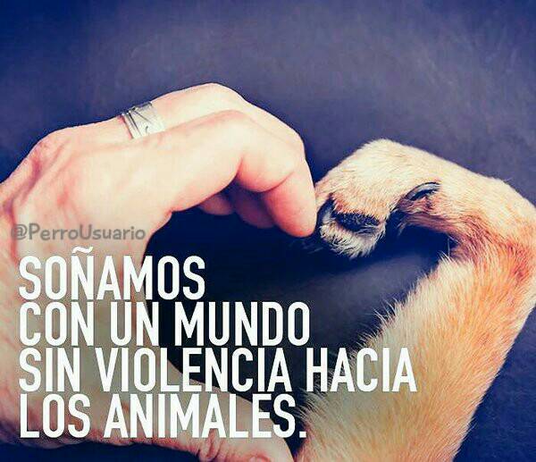 PerroUsuario's tweet photo. Cuando lo logremos, habremos crecido como sociedad https://t.co/vhI0WOBFYM