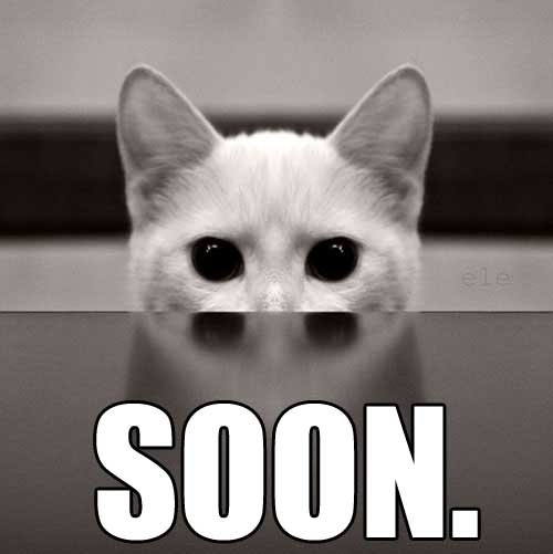 Node.js Security tweet media