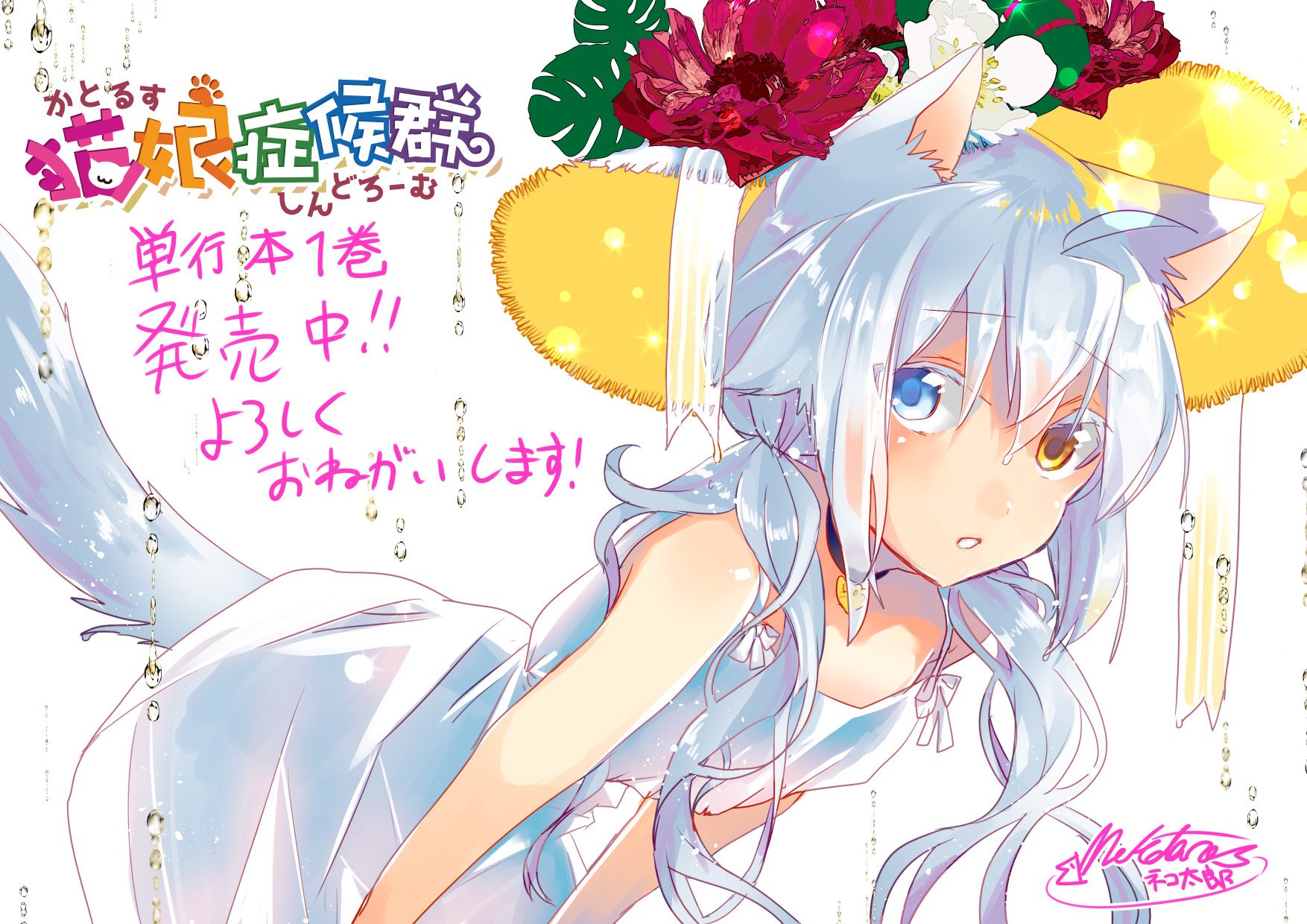 駿河屋 - 【買取】<<イラスト画集>> 猫娘症候群画集 / ネコ太郎