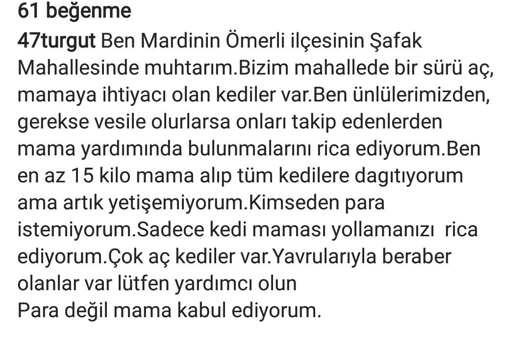 beklenengodo's tweet photo. f.terim'in yaşadığı hayattan daha güzeline layık bir amca, istediği sokak hayvanları için mama. hadi rtlerle elden ele. https://t.co/P2QPcLWeYW