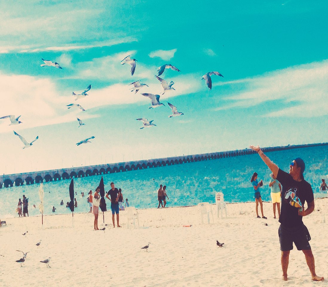 ballado18's tweet photo. #PlayaProgreso #HoyTocoMerida #Beach #Vacations... aqui en la Playa haciendola de @pakikoroz alimentando gaviotas... Saludos Compa 👌🏻 https://t.co/w6G8zAACi7