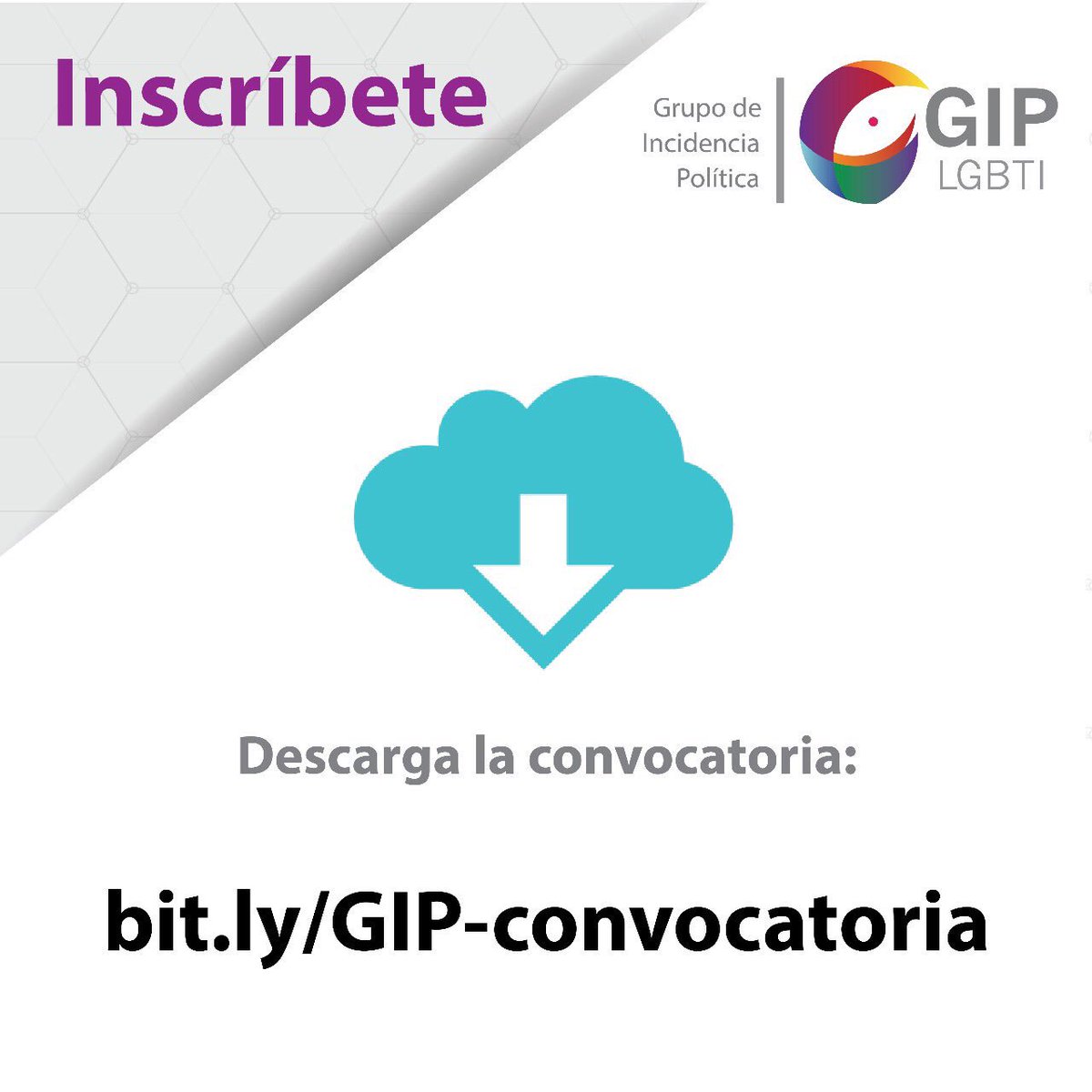 VotoIncluyente tweet picture
