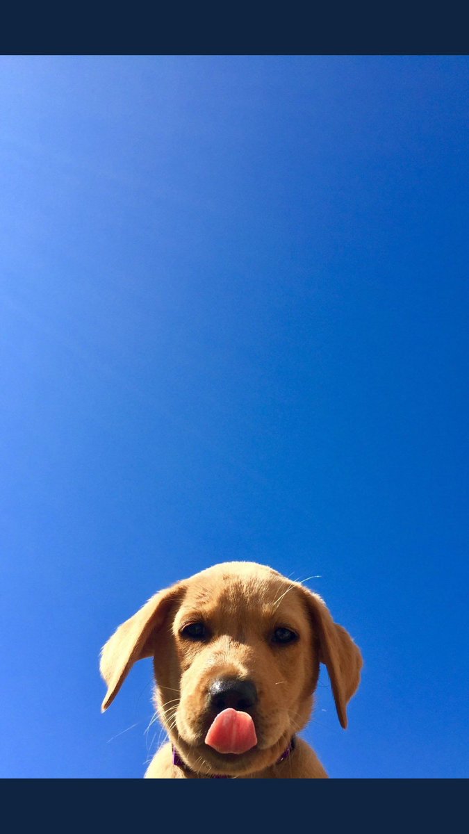 BrandonRowland's tweet image. Please just open this tweet 😍