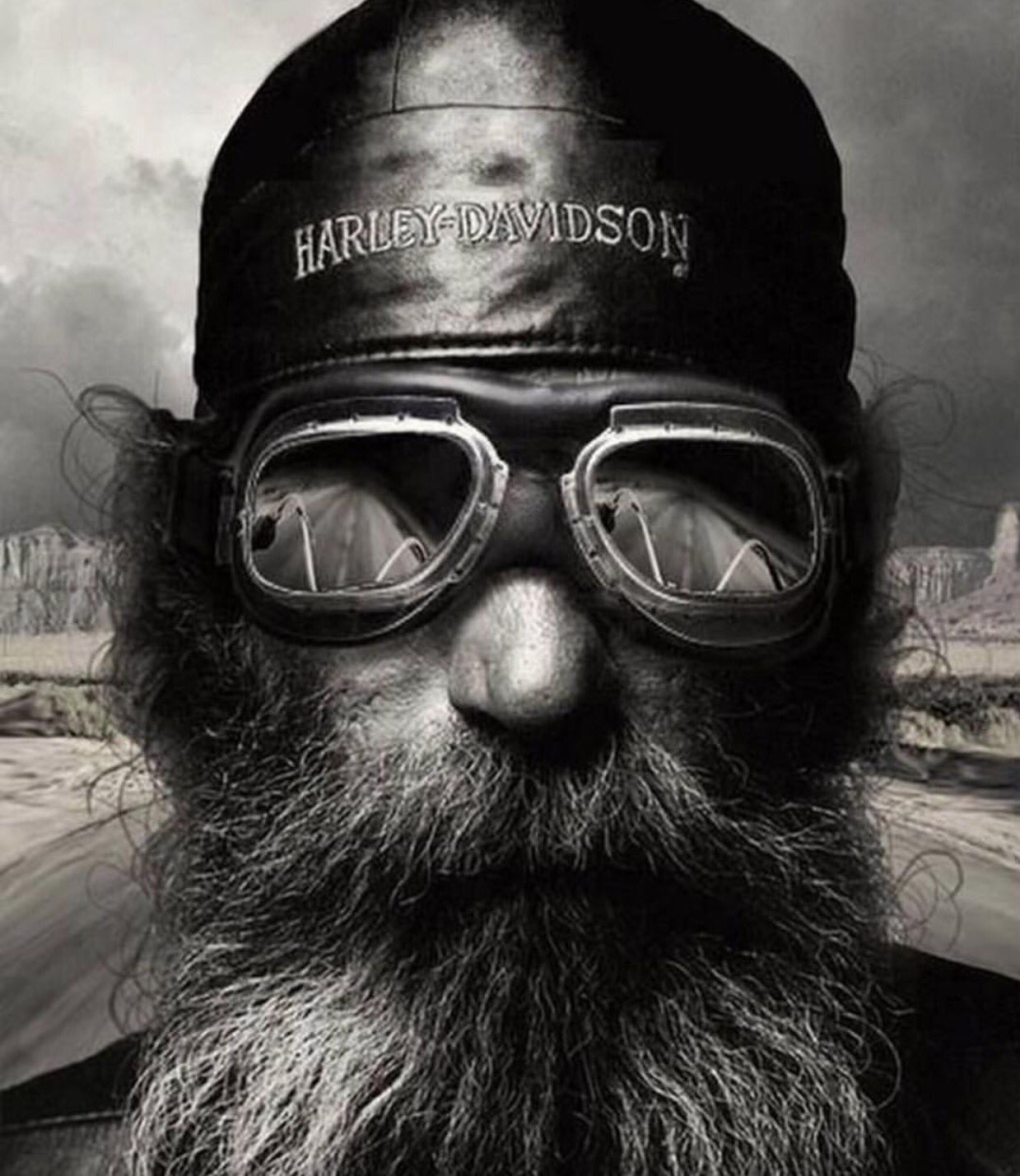 Очки Harley Davidson Moto