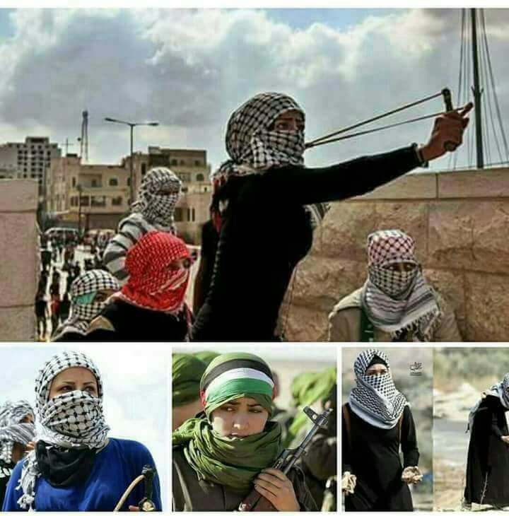 Bakar55778917's tweet photo. MENJAGA AQSHA (1)
PARA REMAJI,
PARA ISTERI,
PARA IBU,
BAHKAN NENEK2
SIAP WAKAFKAN NYAWANYA DEMI   AL-AQSHA DG BATU DAN KETAPEL
#SaveAqsha https://t.co/KWI0w6YCwz