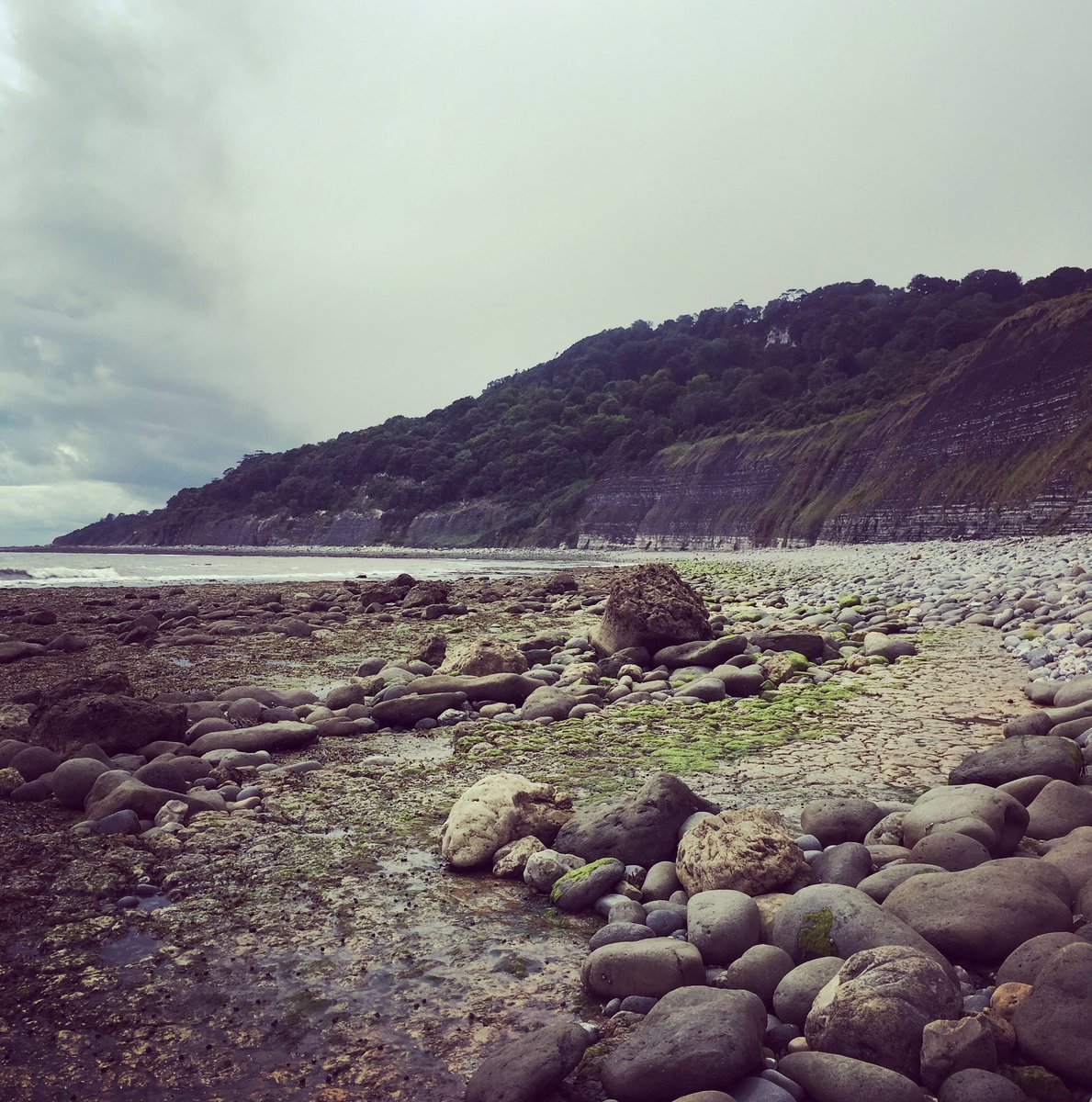 thegobbledegook's tweet photo. Blew my mind today - saw Jurassic, Triassic and Cretaceous rocks all at once!!!  @jurassic_coast @NHM_London #fossilblitz #jurassicrangers https://t.co/MgA7xuqpWT