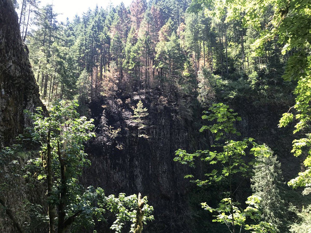 CRGNSA's tweet photo. #IndianCreekFire2017 #bucketdrops Update: 74 acres/ Firefighters scouting in steep terrain/ Trail Closures https://t.co/S1yUMTkGFq https://t.co/Ko45h7Ftod