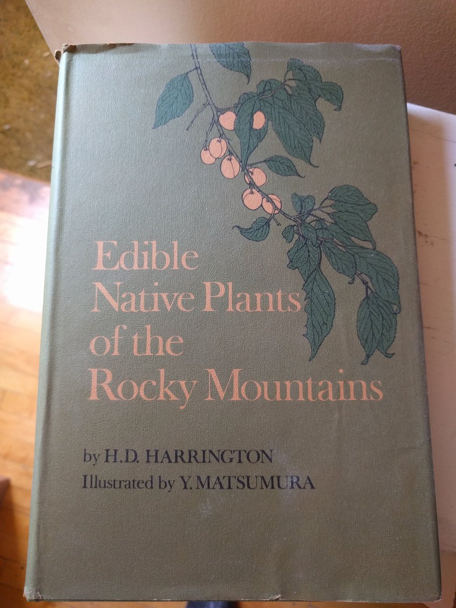 calgaryhester's tweet photo. Almost at the end of my #bookpacking day in #yyc. My favourite finds have been books like this, about #Alberta... https://t.co/Ghb4TPTopu