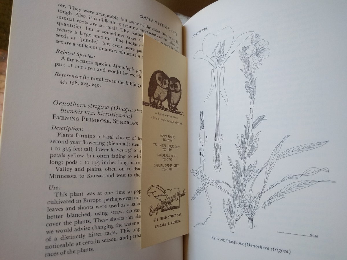 calgaryhester's tweet photo. Almost at the end of my #bookpacking day in #yyc. My favourite finds have been books like this, about #Alberta... https://t.co/Ghb4TPTopu