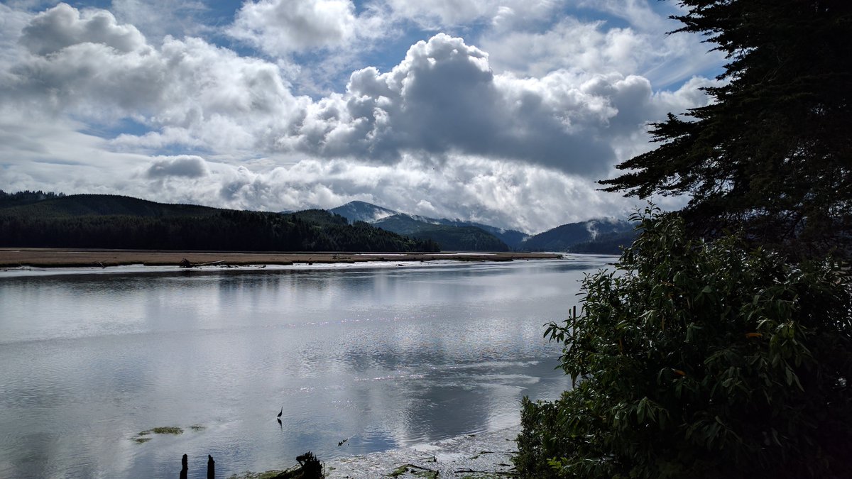 KCs_odyssey's tweet photo. It's always beautiful here! #alseariver #oregoncoast https://t.co/r3i6vOoFhD