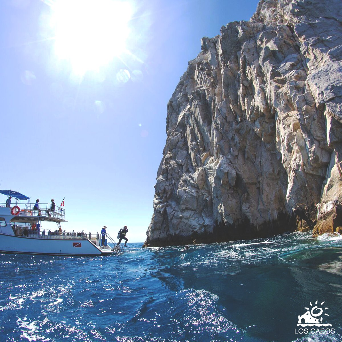 LosCabosTourism's tweet photo. #LosCabos offers the best scuba of your life at Sea of Cortez and the pacific ocean. 🐠🐟🐳 https://t.co/ijiHrjfgUs