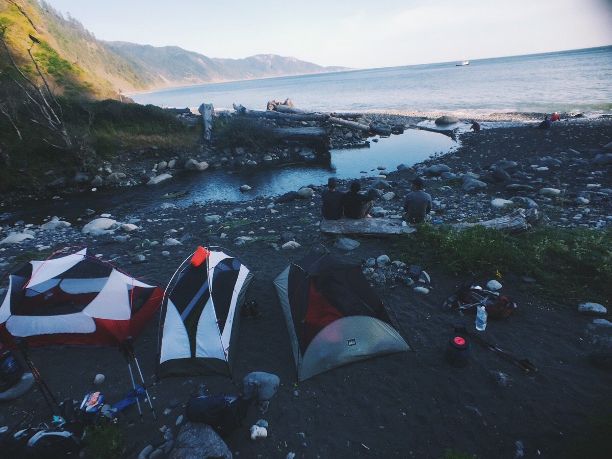 TeresaAlicez's tweet photo. "#Shipmans Creek along the Lost Coast #Trail in Northern #California" #nature #hiking #photography https://t.co/L9dfmCdY9O