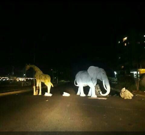 UgglyJoda's tweet photo. Que remake de Jumanji un coño!... Maracaibo partio el trablero par coño! https://t.co/0wuMoXsywb