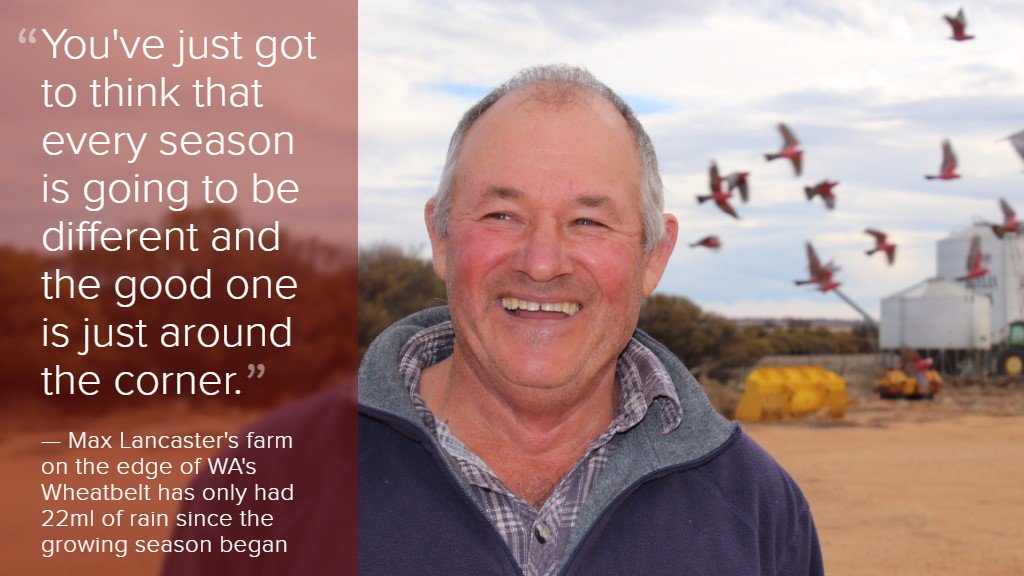 abclandline's tweet image. Farmers in the north-eastern Wheatbelt say they are enduring the driest year in living memory. More on Landline this Sunday @ noon