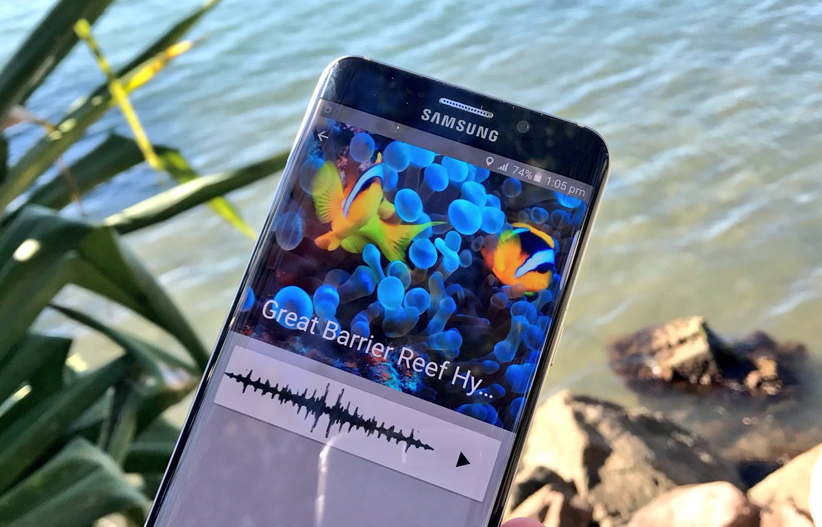 LeahBarclay's tweet photo. Listen to the changing soundscapes of the #GreatBarrierReef in #AURALITY https://t.co/4MO2LlELo4 #qmf17 https://t.co/JrJAisZeMc