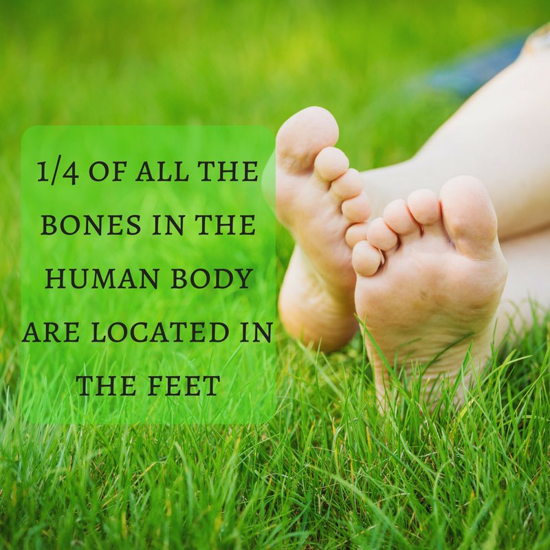 Hoyal_Podiatry's tweet photo. Make sure you take good care of your feet! https://t.co/COldJ0f2g4