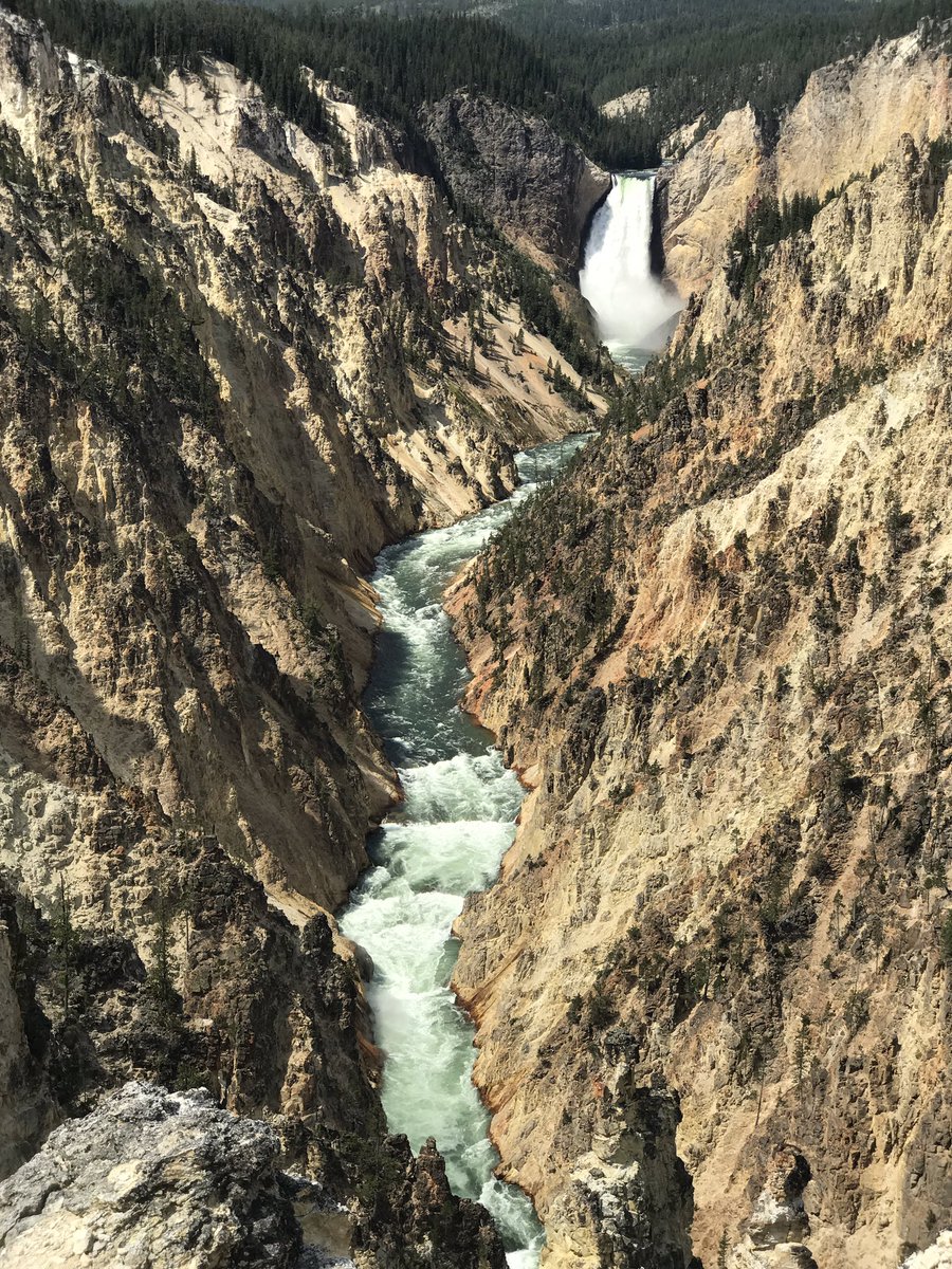 HeatherSumlin's tweet photo. Spent the day at Yellowstone National Park. One of my favorite pics from the day. https://t.co/3YcbV4tKvE