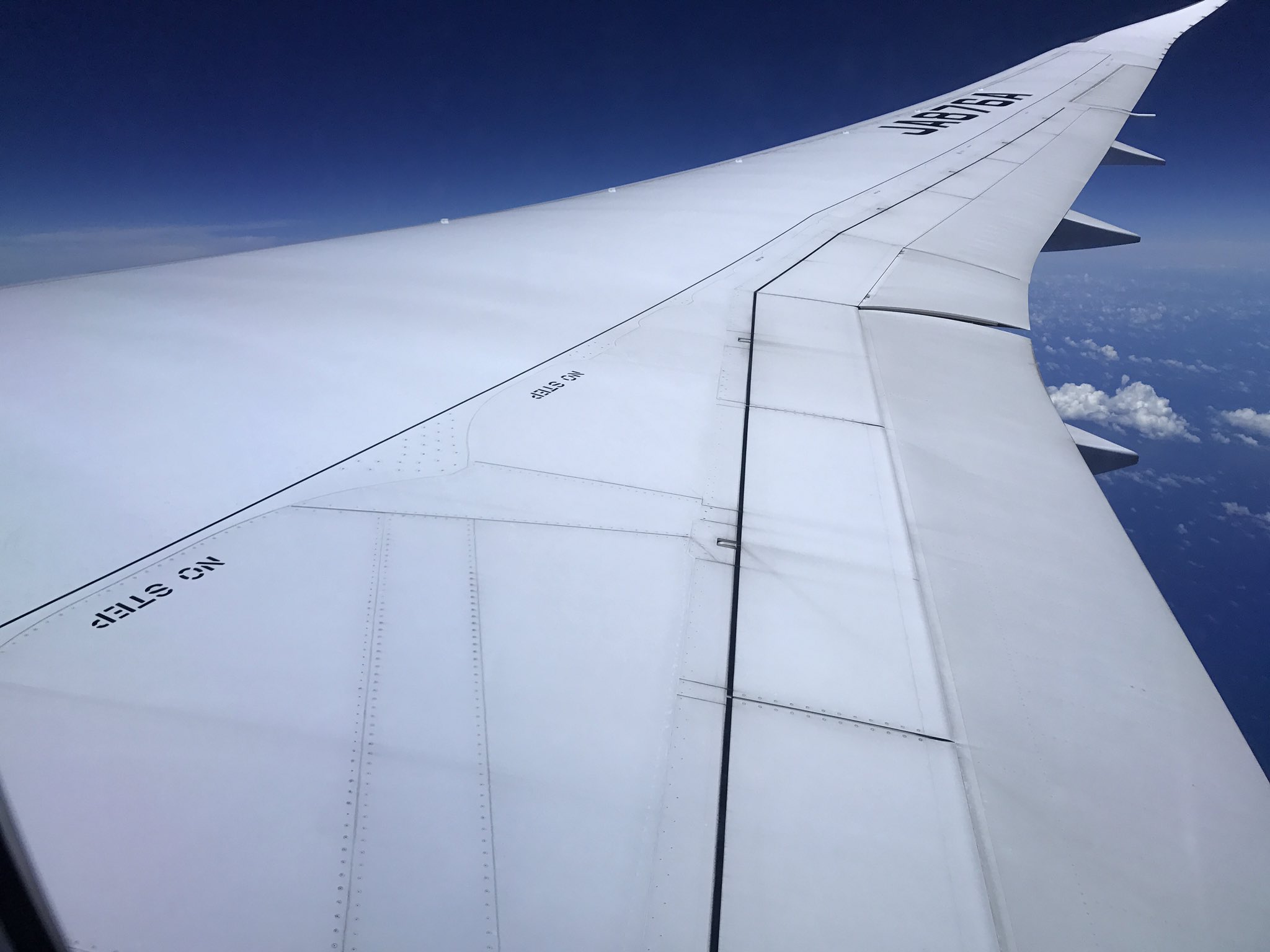 تويتر ずんどこ على تويتر No Step って飛行機の翼にも書いてある ディズニーランド の問題の箱上の記載は デザインだ 的な発言を見た気がするけど 飛行機にも書いてある文字をデザインとして書くとは思えないなぁ No Stepはそのまんまの意味で乗らないでって