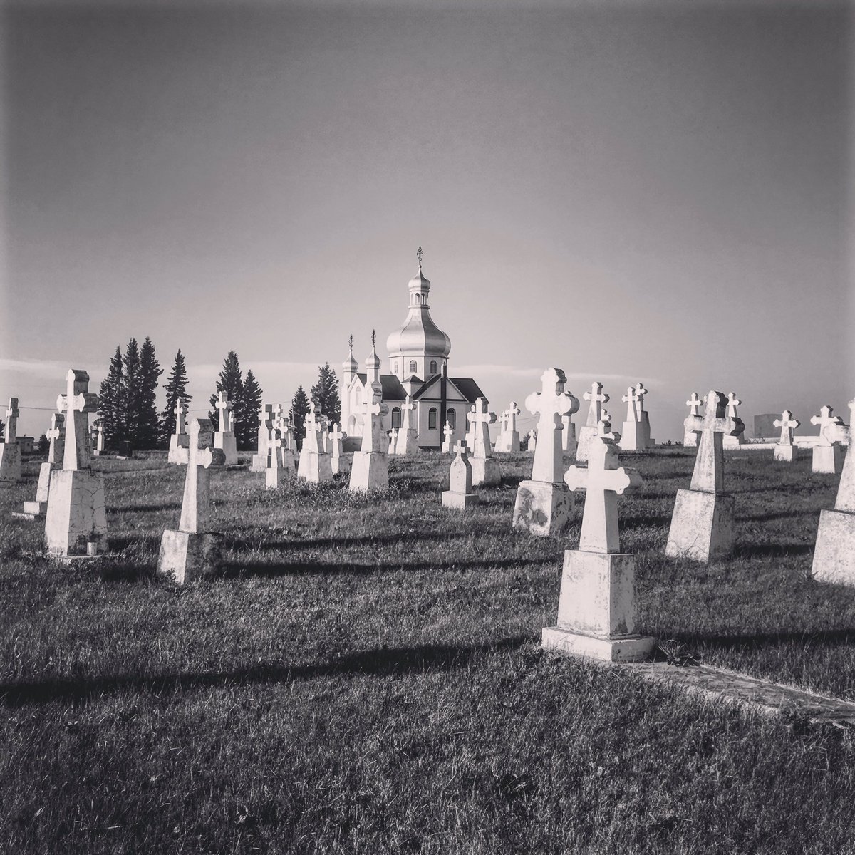 LouiseCarduner's tweet photo. #Insinger #Saskatchewan https://t.co/HUSEUHiN7B