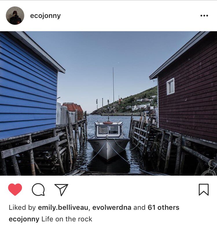 sandra_melanson's tweet photo. @SeamusORegan a great shot taken by my 16 year old son while we were visiting home! #missingNL https://t.co/UtpXmPxBvB