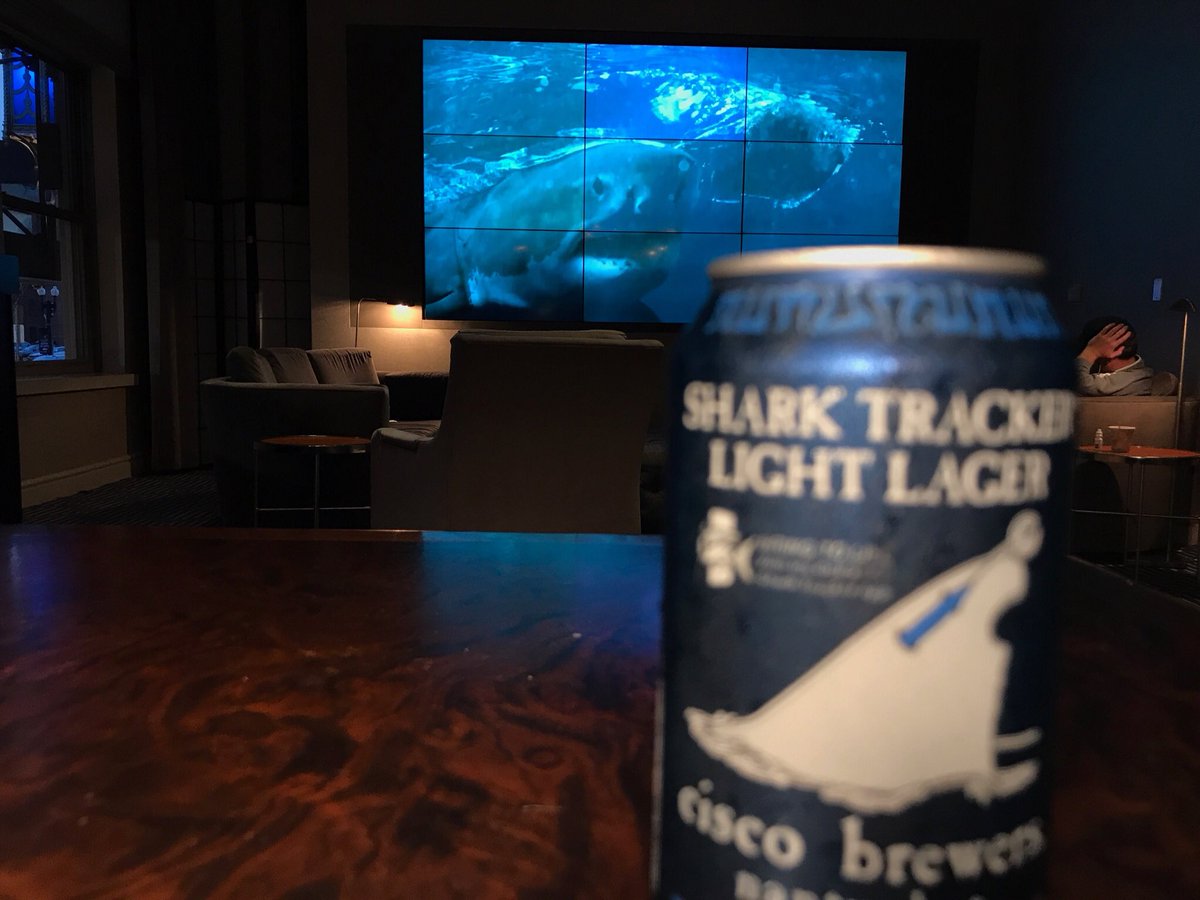 Precinct K + B tweet media