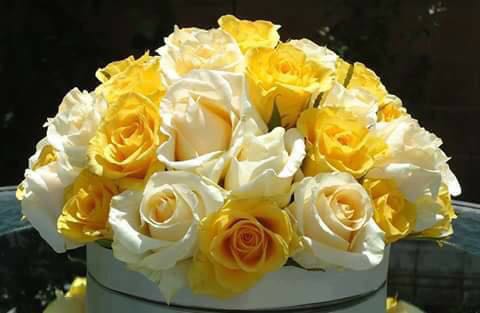 белые розы желтые тюльпаны слушать