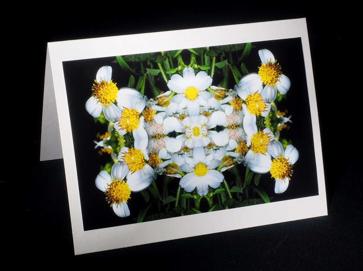 suechait's tweet photo. A couple of more cards I made #lightpainted
Starting to sell. I make the designs using my lightpaintings and some of my flower photography. https://t.co/HC8RsNBfsK
