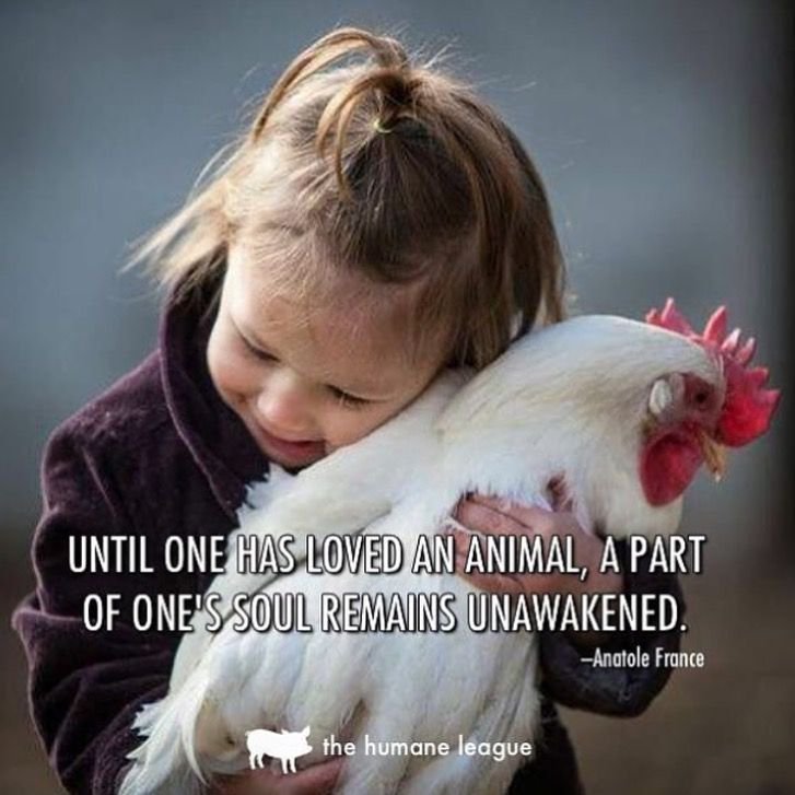 TheHumaneLeague's tweet photo. #Love ALL animals. https://t.co/oSDQfVyvOz